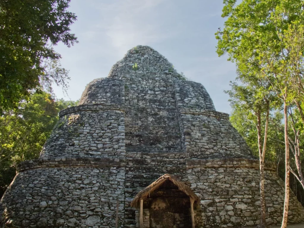 Cobá